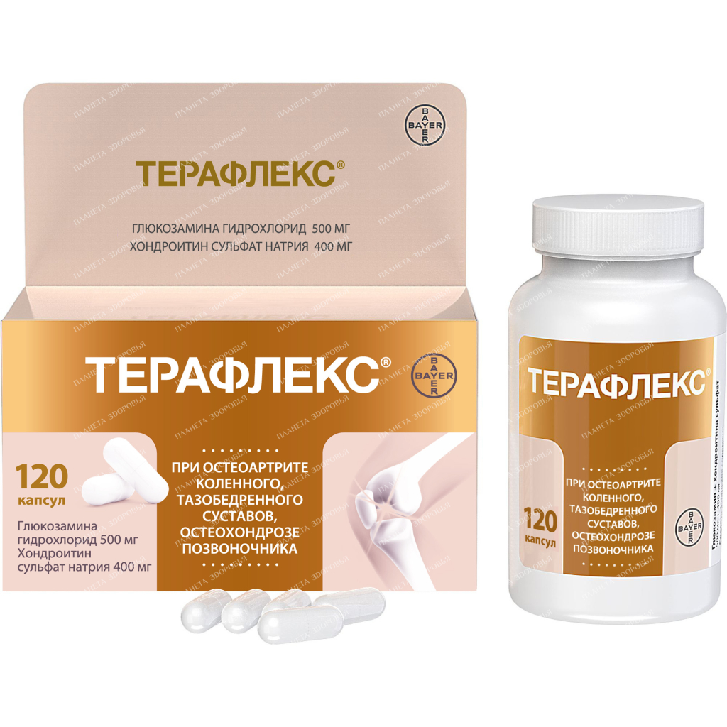 Teraflex capsules 500mg/400mg №120 №1