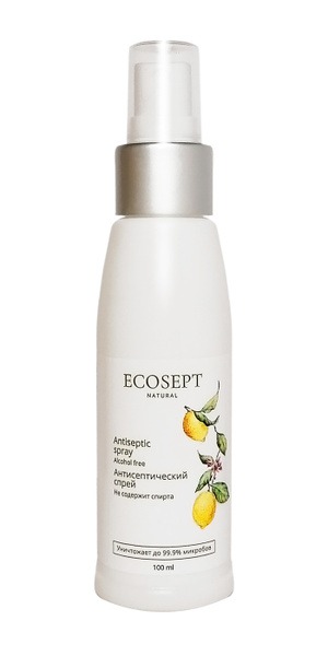 Ecosept Hand Sanitizing Spray