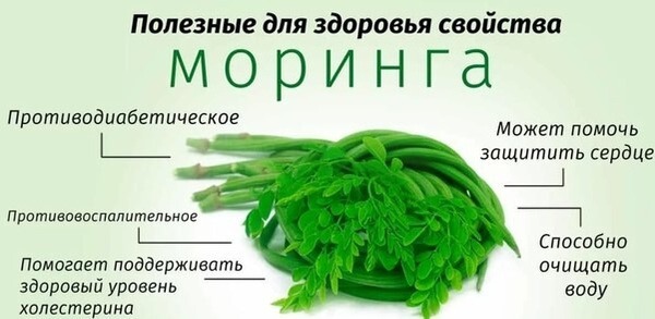 Moringa Powder: 3-Pack Antioxidant Supplement