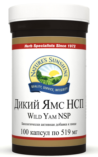 Wild Yam Extract: NSP Benefits & Uses