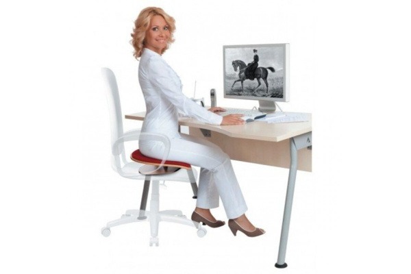 Back OK Standard Posture Corrector & Massage Seat