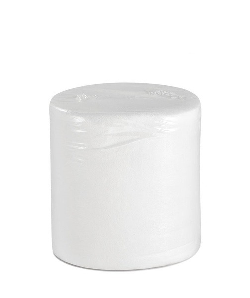 Bulk Disposable Paper Roll Towels (250 Sheets, 15x20cm)