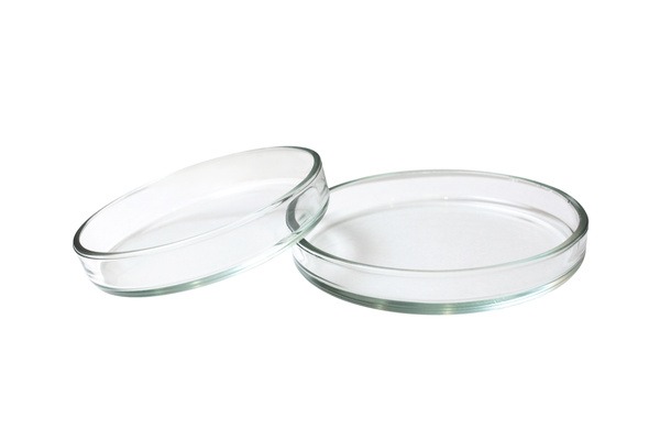 Glass Petri Dish (100x20mm, 3mm Thick), Single, Made in Russia