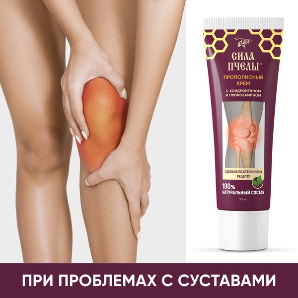 Bee Power Propolis Cream for Joints & Back Pain Relief with Chondroitin & Glucosamine (30ml)