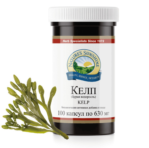 NSP Kelp: Thyroid Support Supplement (100 Capsules)