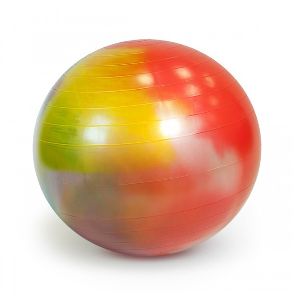 Gymnic Arte 65cm Ball with BRQ Ortho 95.36