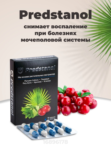 Predstanol Prostate Supplement: 10 Capsules for Men's Sexual Health & Erectile Dysfunction