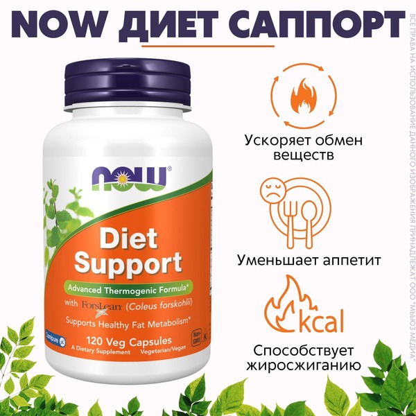 NOW Diet Support Supplement: 855mg, 120 Veggie Capsules