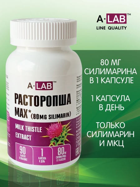 Milk Thistle 90 Capsules - 80mg Silymarin per Capsule (Max Strength)