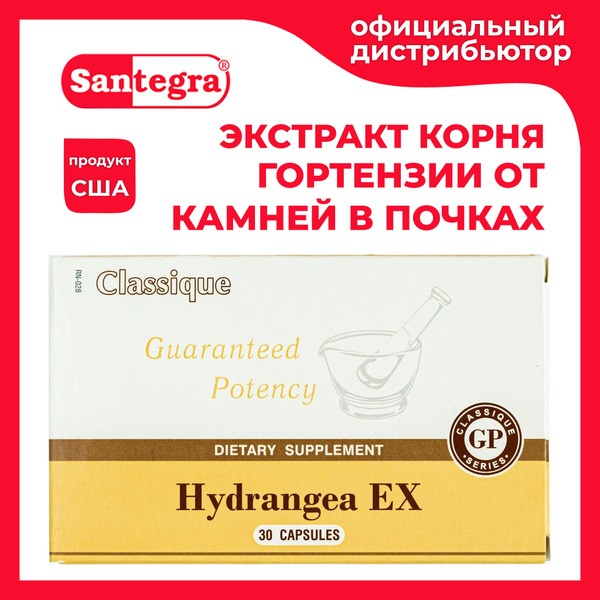 US Hydrangea Root Extract 300mg - 30 Capsules: Kidney & Gallbladder Support
