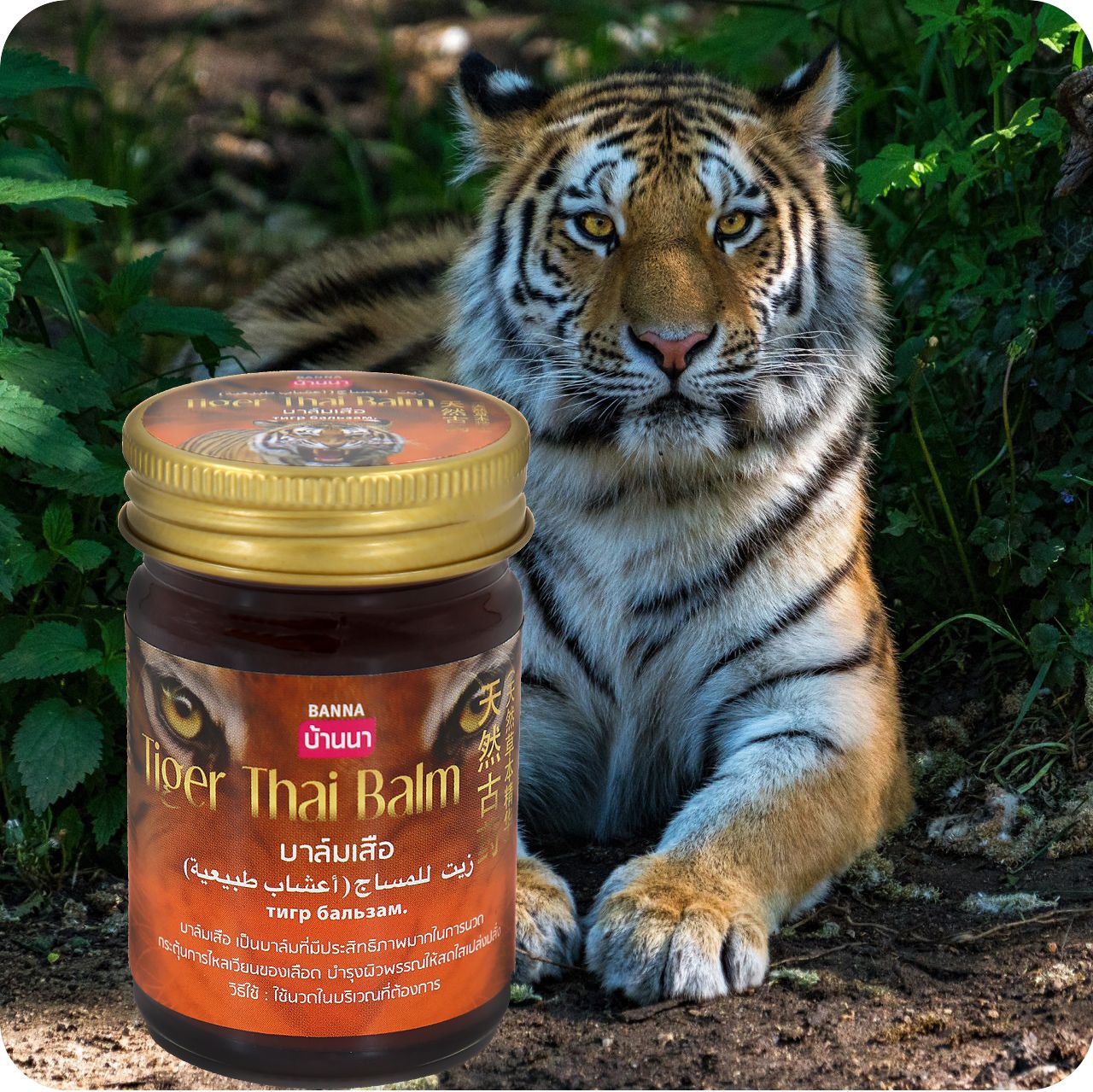 Banna Tiger Balm for Joint Pain Relief (50g)