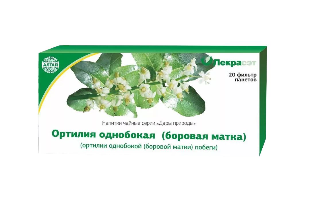 One-sided Wintergreen (Orthilia secunda) Herbal Tea Bags - Lekra-SET