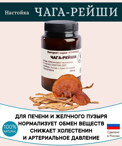 Chaga & Reishi Liver & Gallbladder Support: Tumor Inhibition (100g) - SoffiD