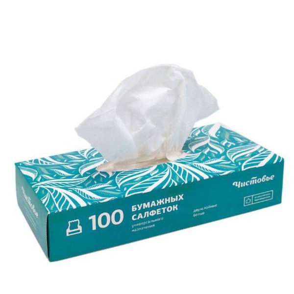 Bulk 2-Ply Paper Napkins, 100 Count