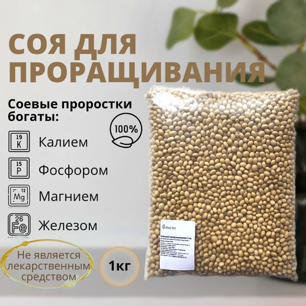 Organic Soybeans for Sprouting - 1kg