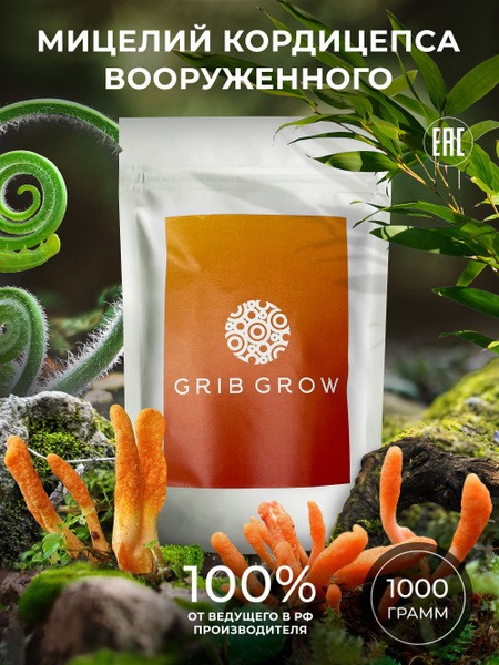 Cordyceps Militaris Mycelium Grow Kit - 1kg