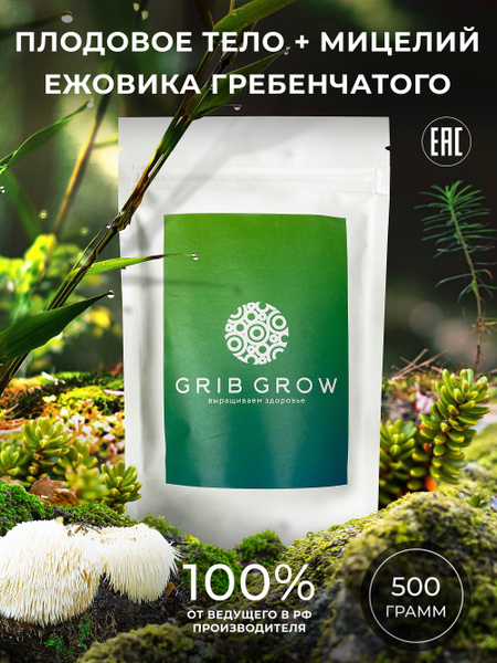 Lion's Mane Mushroom Mycelium & Fruiting Body - 500g Grow Kit