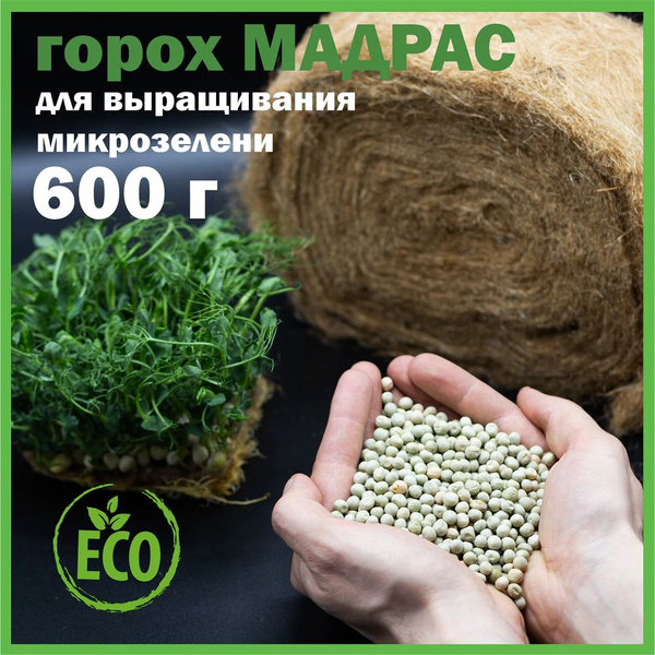 Pea Microgreens Seeds (600g) - Cress-a-Filla Variety