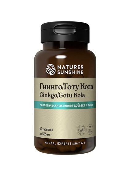 Ginkgo Biloba & Gotu Kola (NSP) - 60 Tablets, 585mg Each