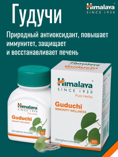 Guduchi (Himalayan Tinospora) Immune Support & Liver Detox Supplement - 60 Tablets