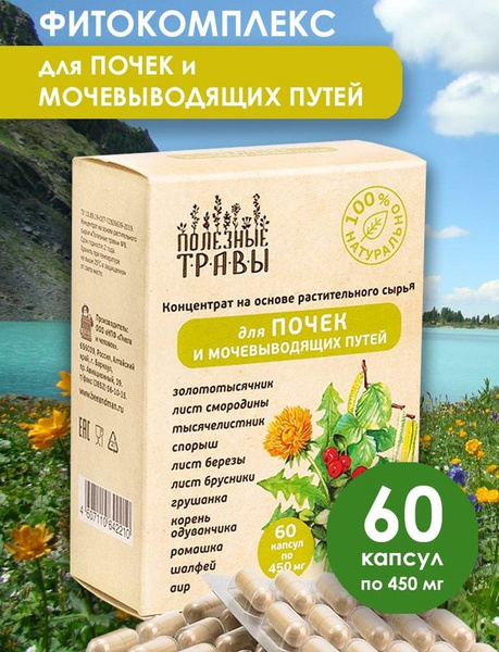 Kidney & Urinary Tract Support Supplement - 60 Capsules