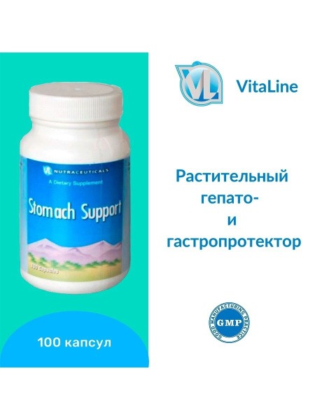Vitaline Stomach Support 505mg