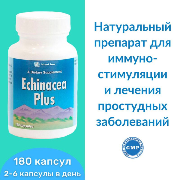 Echinacea Plus 182mg: Immune Support Supplement