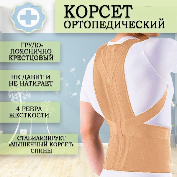 XXL Back Support Brace (100-120cm Waist, 160-170cm Height) - Beige