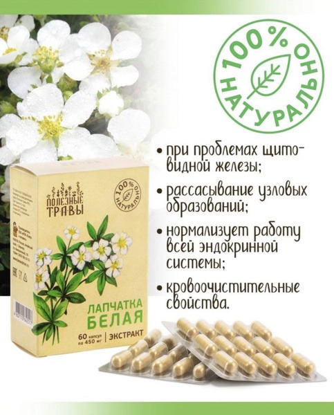 White Potentilla Extract for Thyroid Support - 60 Capsules