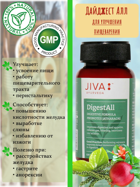 Jiva Ayurveda DigestAll 120 Tablets (500mg)