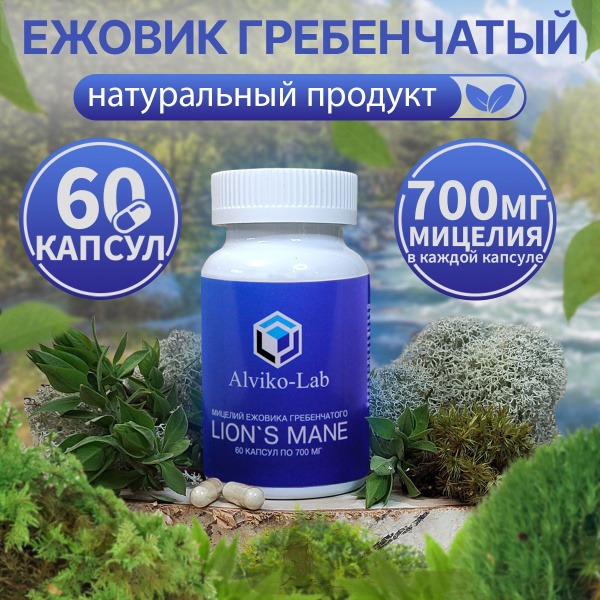 Lion's Mane Mushroom Capsules (60ct, 700mg) - Microdosing Supplement