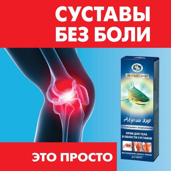 Shark Power Joint Cream: Glucosamine & Chondroitin Pain Relief (75ml) - LUCIX