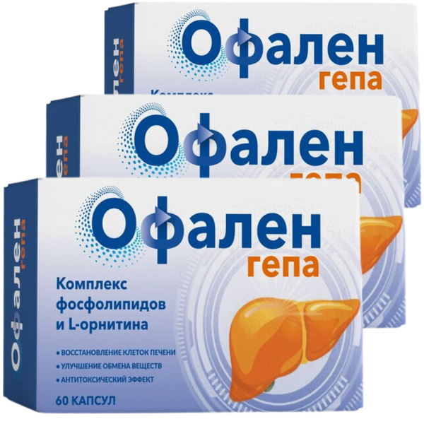 Liver Detox & Repair: Ofalen Gepa Capsules (60 Count) with Phospholipids & L-Ornithine