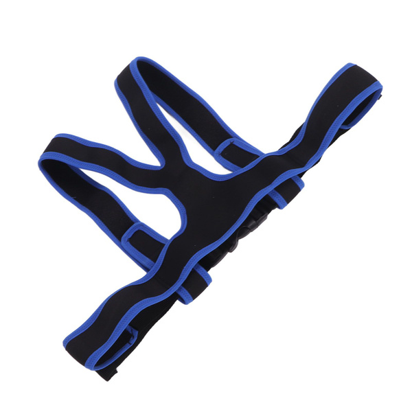 Wheelchair Safety Belt