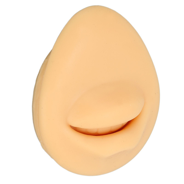 Silicone Mouth Model