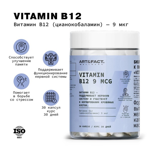 B12 Vitamin 9mcg: Wellness Supplement