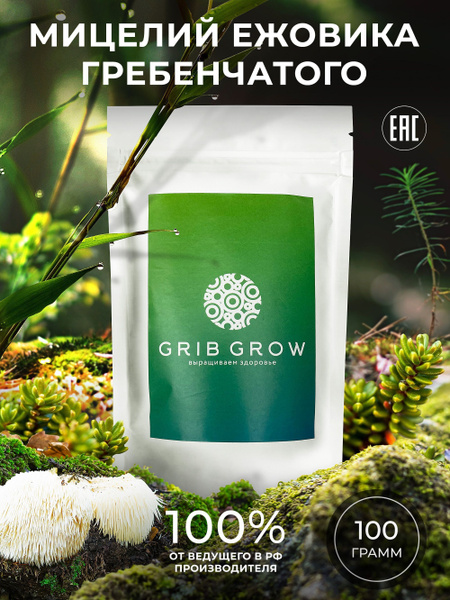 Lion's Mane Mycelium Grow Kit - 100g