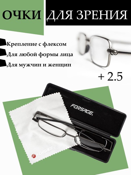 Reading Glasses +2.5 with Case