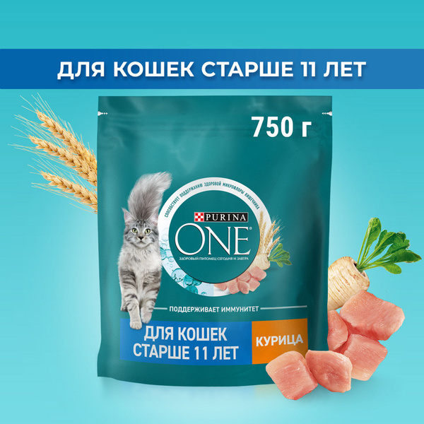 Purina ONE Senior 11+ Cat Food with Chicken & Whole Grains (750g)