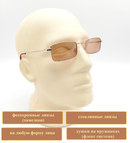 Photochromic Reading Glasses with Glass Lenses (+1.00)
