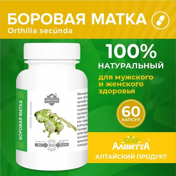 Borovaya Matka Forte Vita Extract: 60 Capsules for Men's & Women's Health