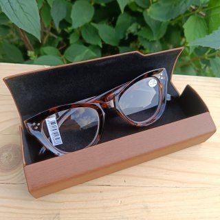 Magnetic Brown Eyeglass Case