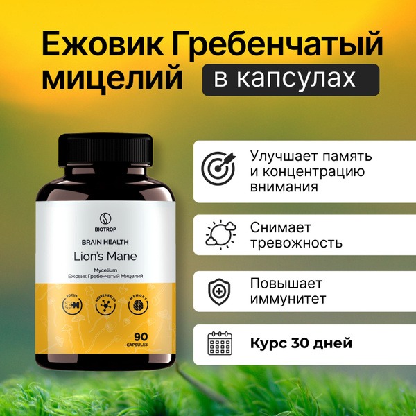 Lion's Mane Mushroom Mycelium Capsules (90 Count)