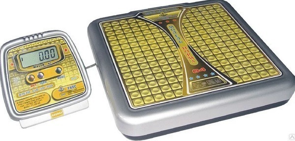 Tves VMEN-150-50/100-D2-A Medical Floor Scales, 150 kg Capacity, 300x300 mm Platform
