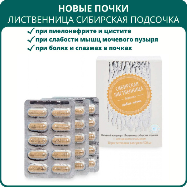 Siberian Larch Kidney Support: Capsules for Kidney Stones, Cystitis & Pyelonephritis