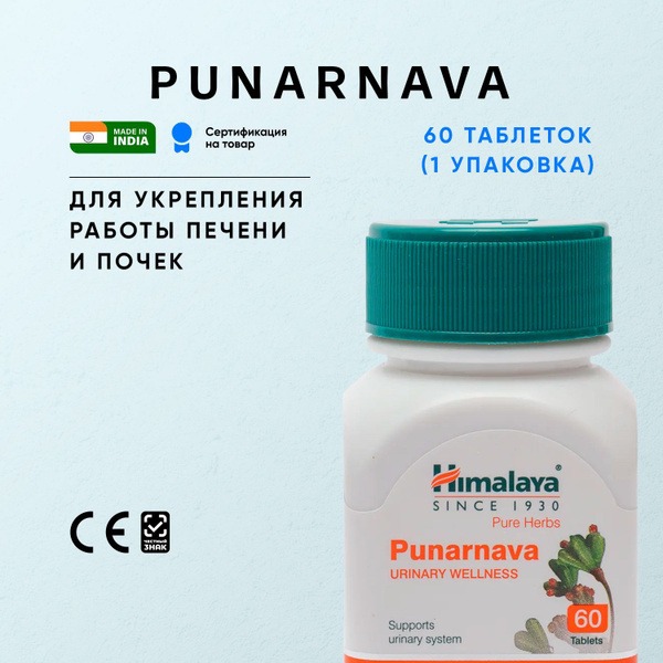 Punarnava Liver & Kidney Support Supplement - 60 Tablets