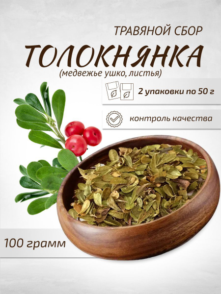 Bearberry Leaf Tea (50g, 2 Packs) - Herbal Remedy