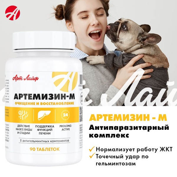 Artemisinin Antiparasitic Complex: 90 Tablets for Parasite & Protozoa Prevention