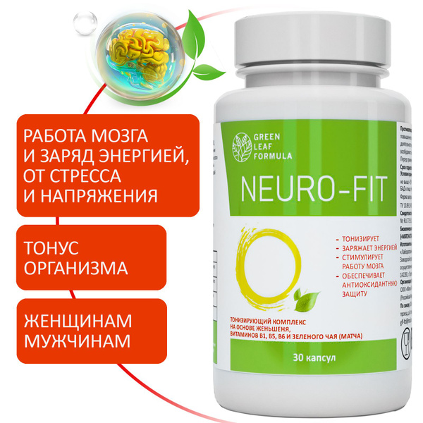 Neuro-Fit: Brain & Nerve Support Supplement with Matcha Green Tea, Ginseng & B Vitamins