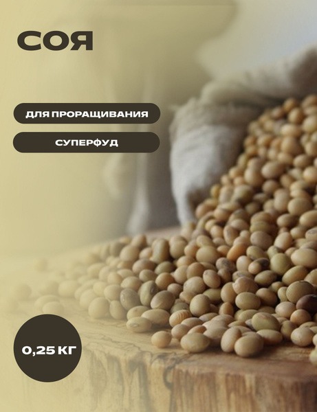 Organic Soybeans for Sprouting: A Nutritional Powerhouse